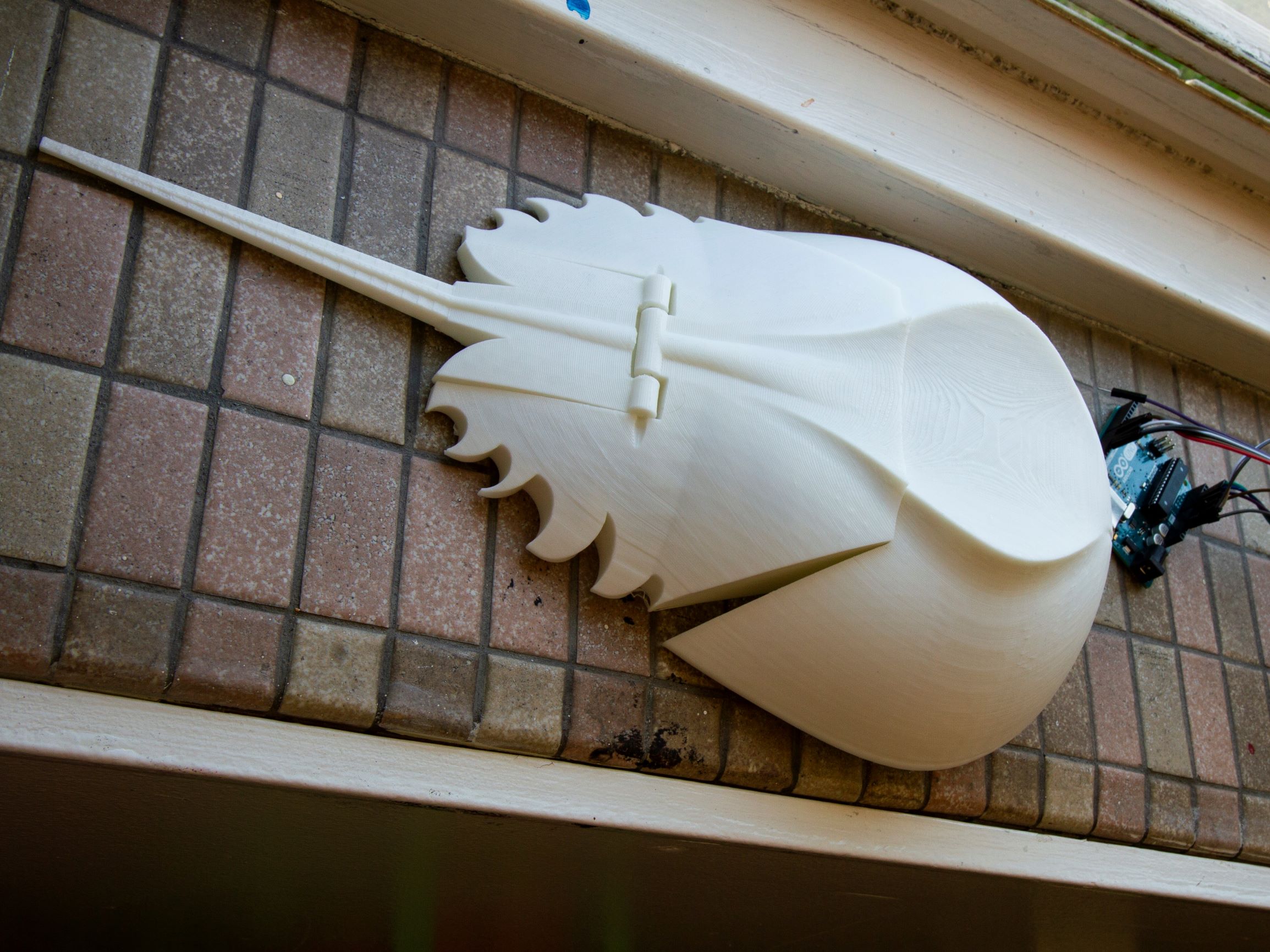 <b>Horseshoe Crab Robot Shell</b>