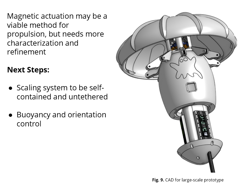 Jellyfish Next Steps