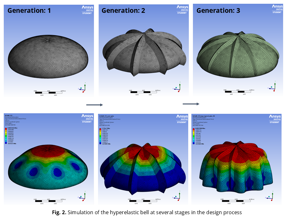 Jellyfish Simulation
