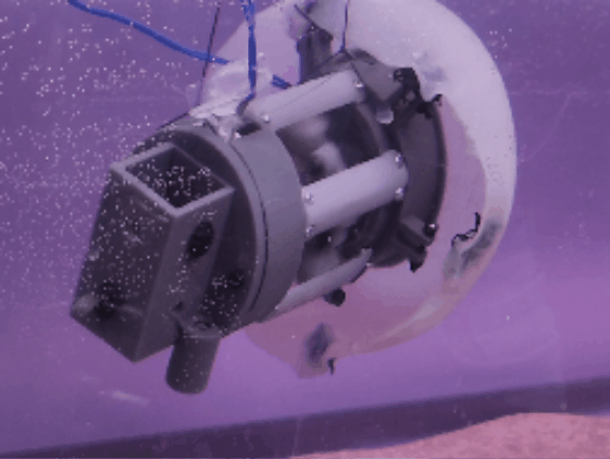 <b>Small-Scale Prototype Testing</b><p><em>We submerged a small-scale prototype of our jellyfish robot in water to determine the turbulance its propulsion mechanism created. This turbulance measurement
              was compared against turbulance created by propeller propulsed robots. Results are quantified in our poster. </em></p>