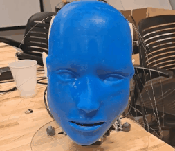 <b>Physical Robot</b><p><em>This illustrates the cable-driven actuation of our physical robot.</em></p>