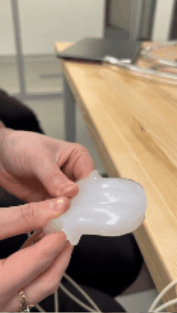 <b>Soft Robotic Tongue</b><p><em>This soft robotic tongue was constructed to add tonal complexity and range to the robotic mouth hardware. It was controlled using a pneumatic controller donated by the 
            the Soft Robotic Toolkit of Harvard University. 
           </em></p>